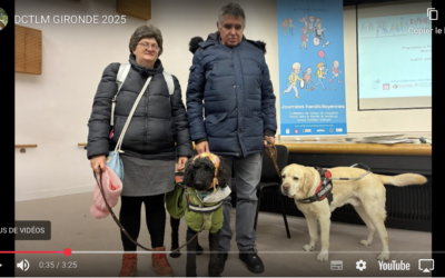 Journées Handicitoyennes en video 11/25